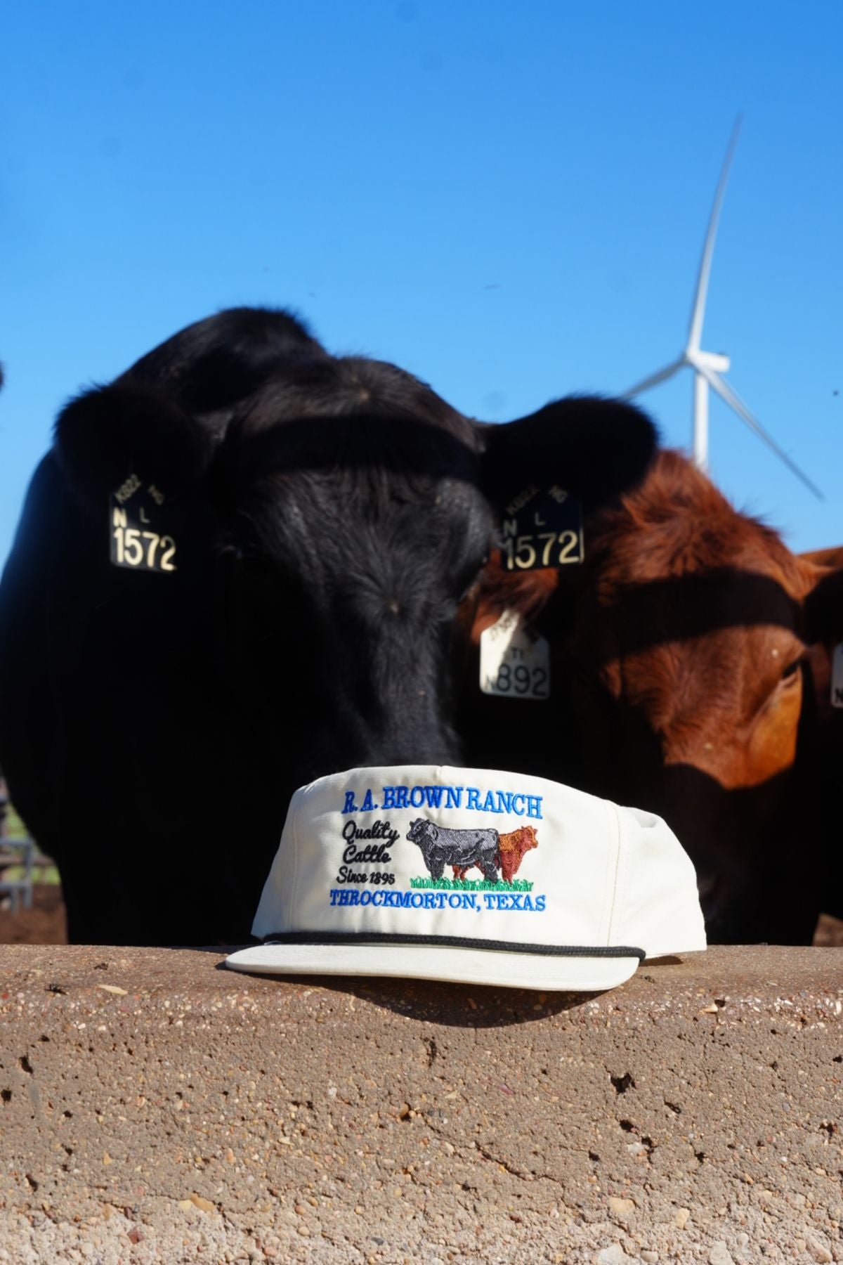 R.A. Brown Ranch Heritage Rope Hat