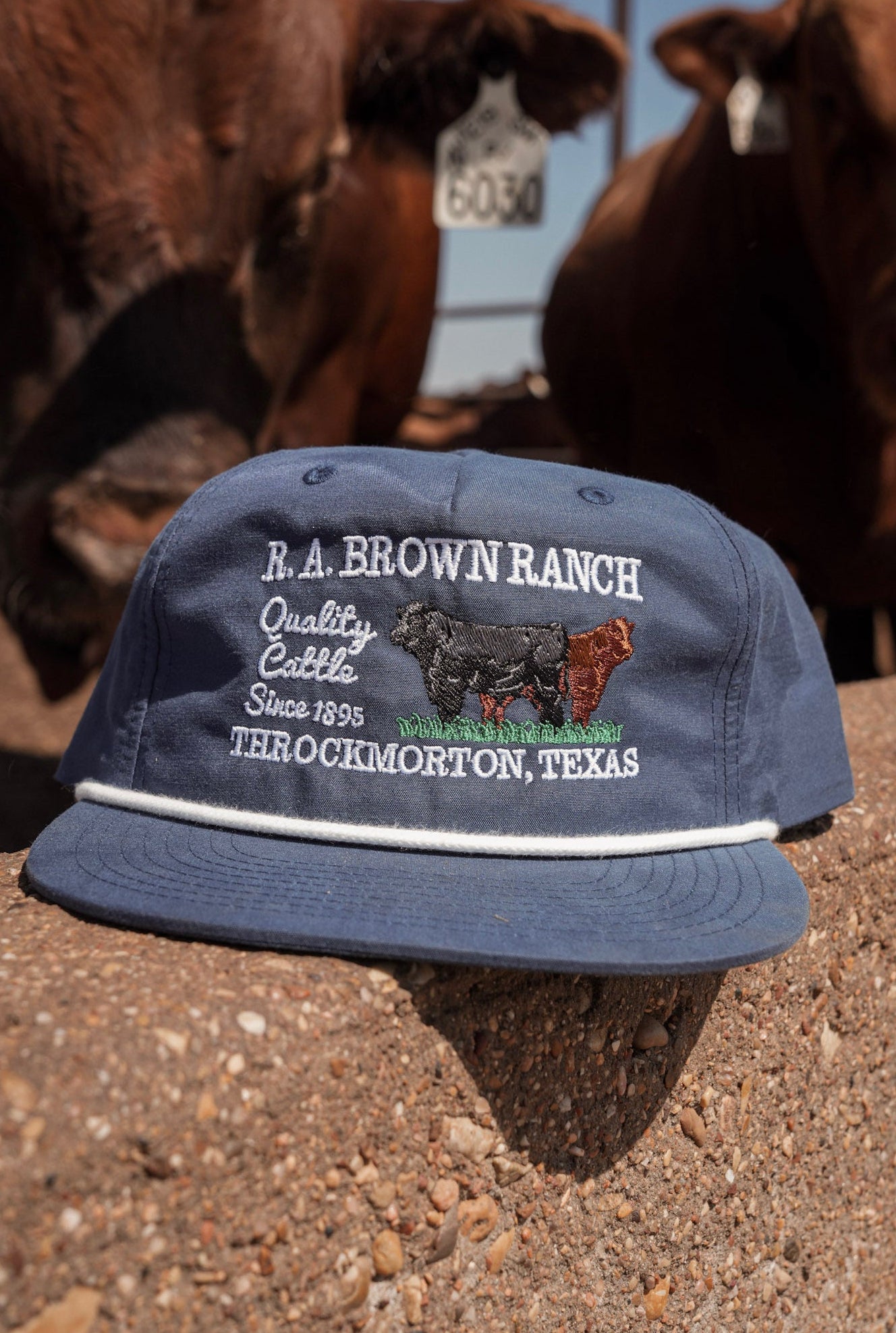 R.A. Brown Ranch Navy Heritage Rope Hat